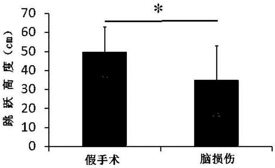 一种实用于树鼩地面运动能力的装置的制造方法