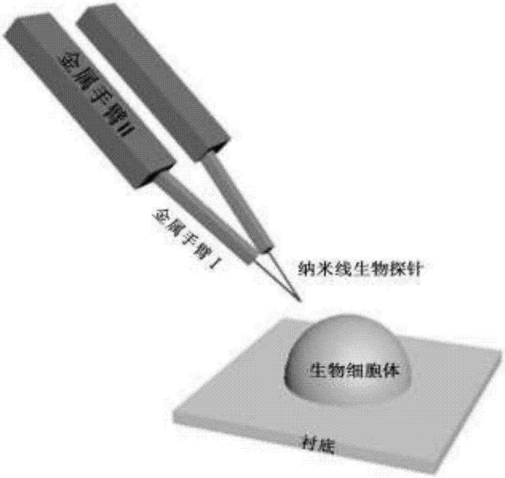 一種晶體納米線生物探針器件的制備方法與流程