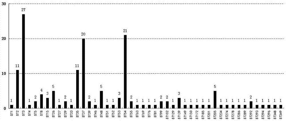 一种ST37型艰难梭菌及其单位点变异型ST81的鉴定方法与流程