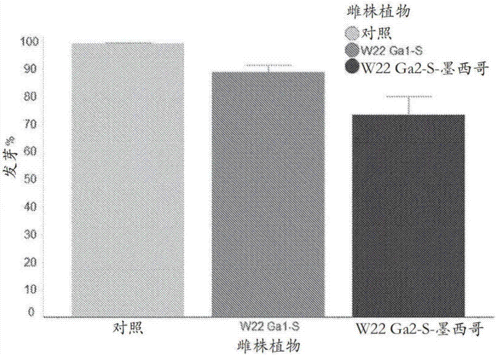 增強(qiáng)共混庇護(hù)的效果的制造方法與工藝