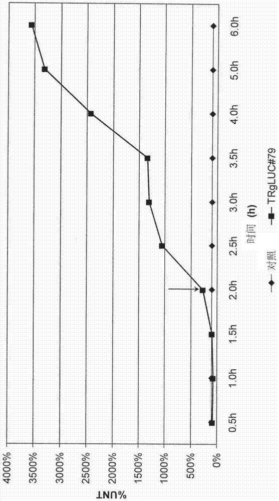 涉及增生性疾病的组合物和方法与流程