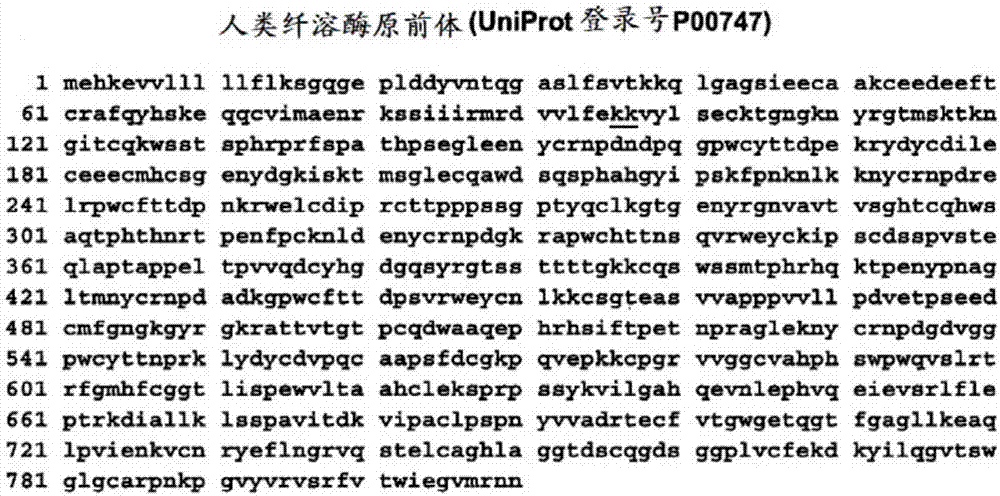 包含纤溶酶原的药物组合物和其用途的制造方法与工艺