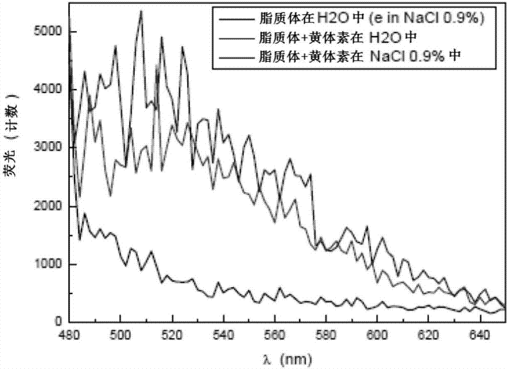 使用離子電滲法進行生物活性分子的眼內遞送的制造方法與工藝