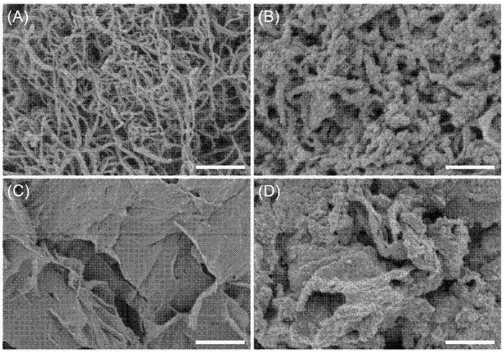 碳结构和共价有机骨架的复合物、其制备方法和其用途与流程