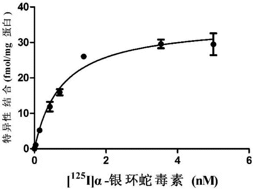 α7煙堿型乙酰膽堿受體的配體化合物及其應用的制造方法與工藝