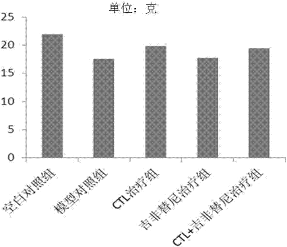 抗原肽T790M‑1及其在制备治疗非小细胞肺癌的药物中的应用的制造方法与工艺