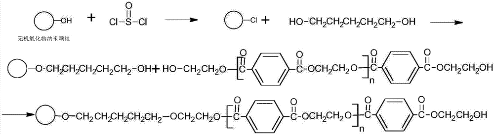 一种二醇类小分子改性并接枝的PET成核添加剂制备方法及应用与流程