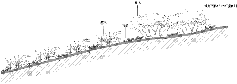 的制造及其制作,应用技术 3,生物方法,主要通过构建植被缓冲带来实现