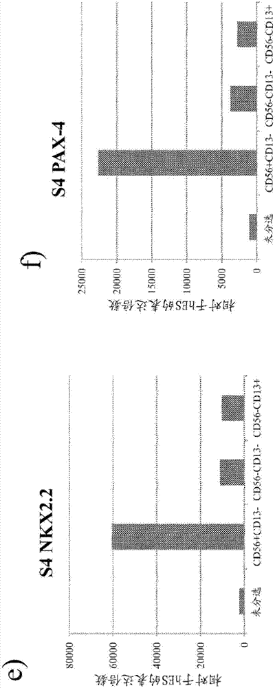 純化衍生自多能干細(xì)胞的細(xì)胞的方法與流程