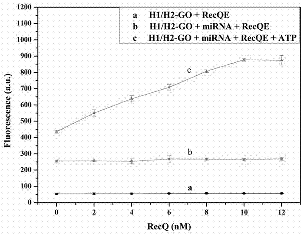 microRNA檢測探針及石墨烯檢測方法與流程