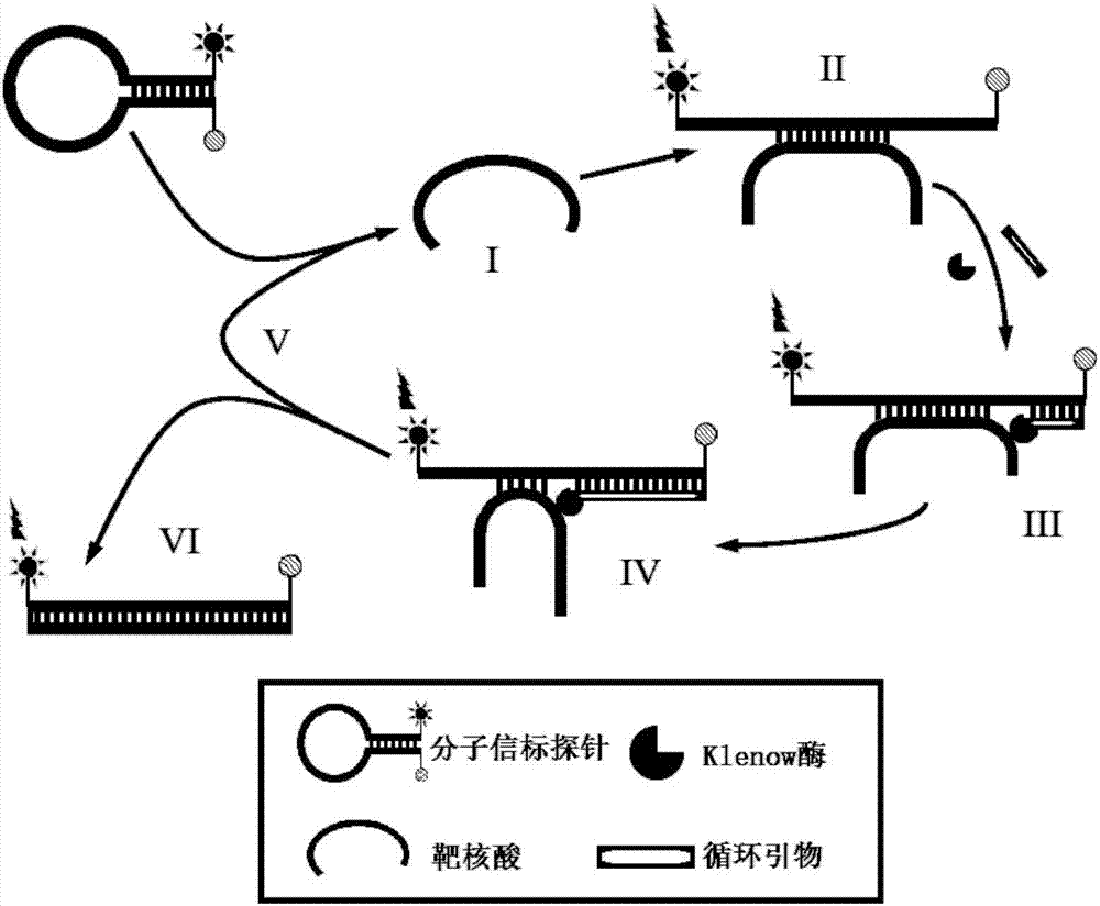 一種等溫快速擴(kuò)增檢測(cè)食品中致病菌的方法與流程