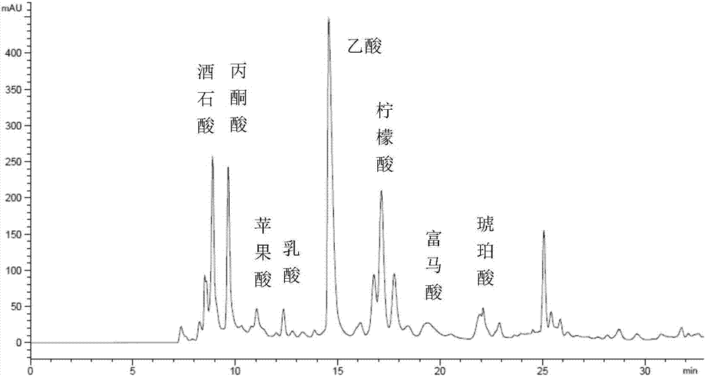 一種板栗紅棗果醋及其制備方法與流程