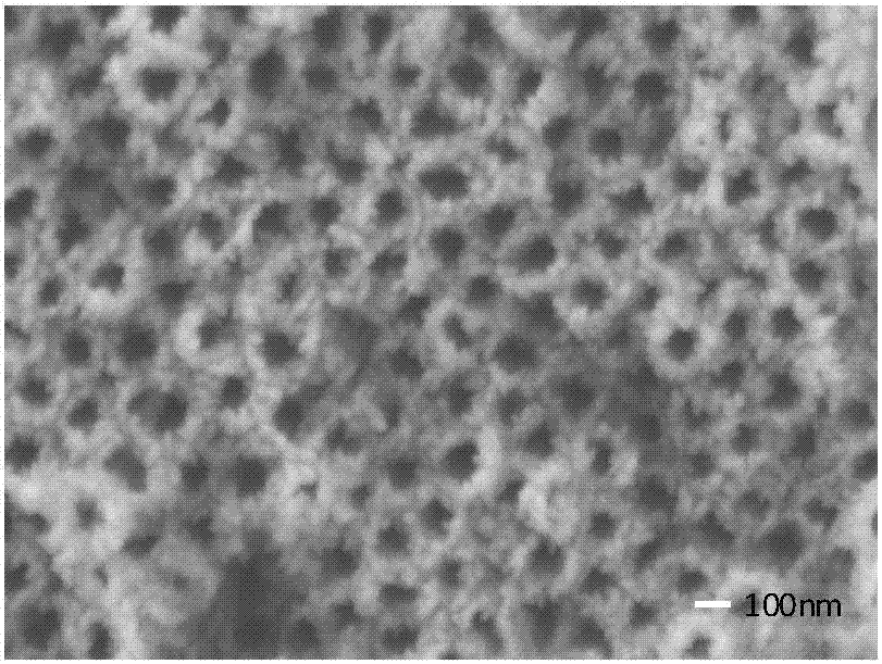 介孔羟基磷灰石/二氧化钛纳米管阵列复合材料的制备方法与流程
