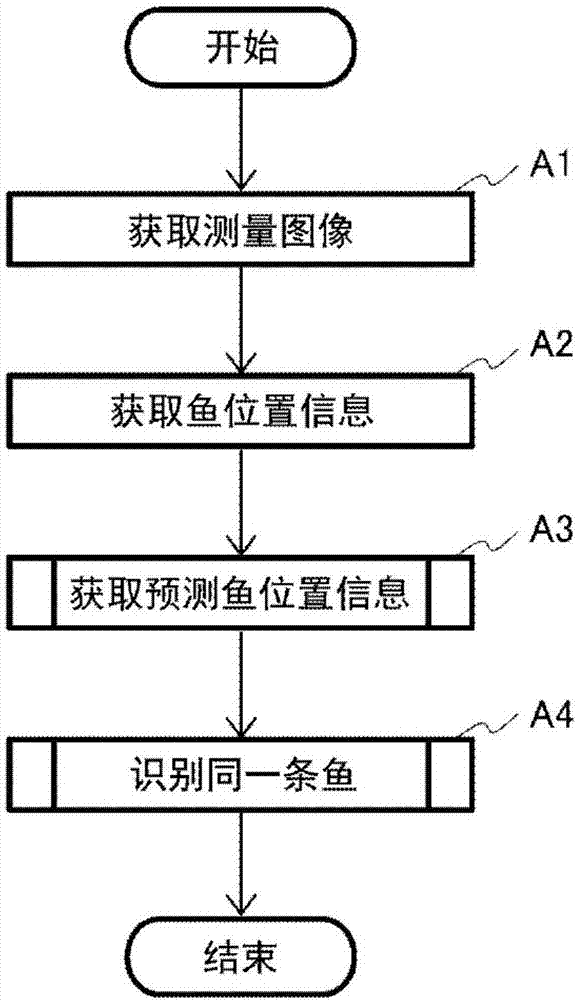 同一條魚識別設備、魚計數設備，用于魚計數的便攜式終端、同一條魚識別方法、魚計數方法、魚計數預測設備、魚計數預測方法、同一條魚識別系統(tǒng)、魚計數系統(tǒng)和魚計數預測系統(tǒng)與流程