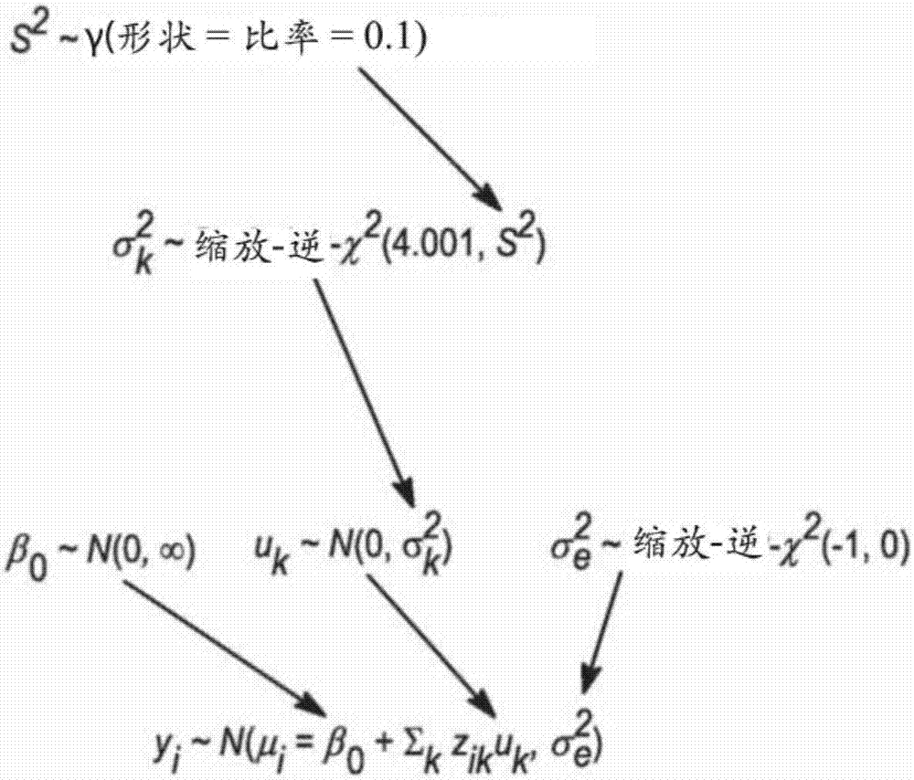 改進(jìn)的分子育種方法與流程