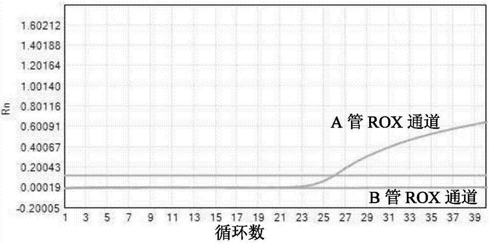 用于幽门螺杆菌个体化基因检测的ARMS‑qPCR方法和试剂盒与流程