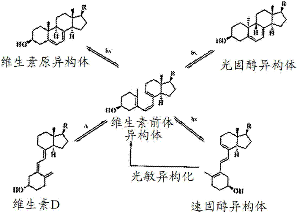 维生素D2和D3的改进的生产方法与流程