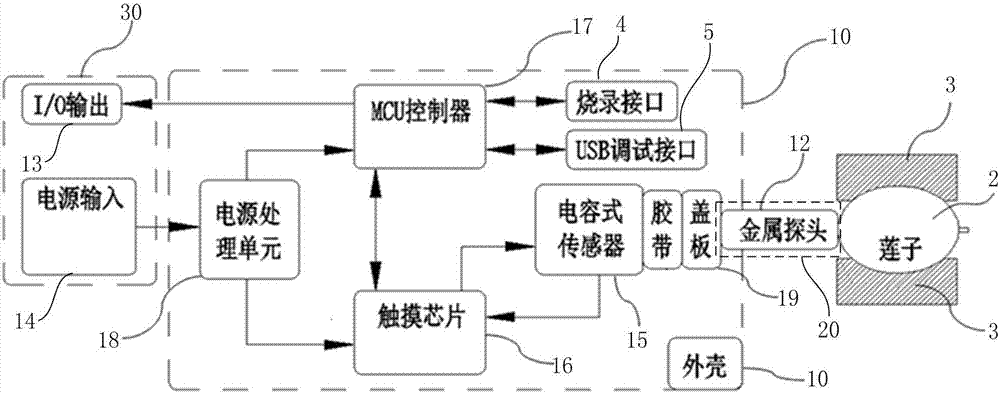 一種檢測蓮子的電容式傳感器檢測系統(tǒng)及檢測方法與流程