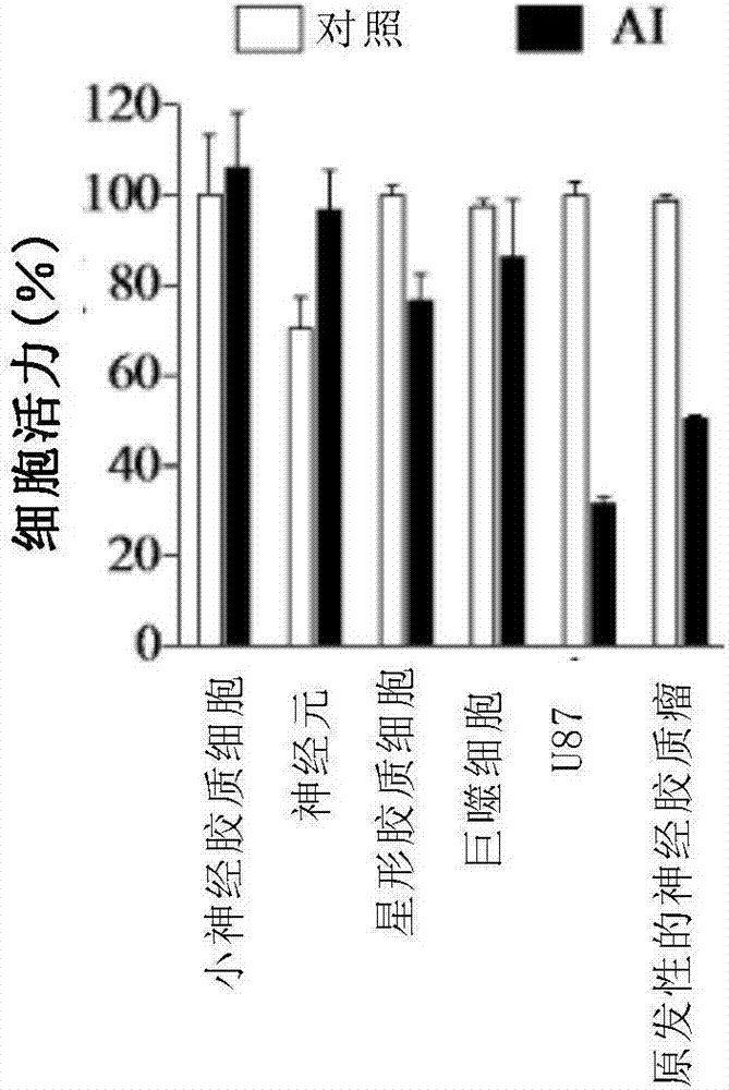 抗癌化合物的制造方法与工艺