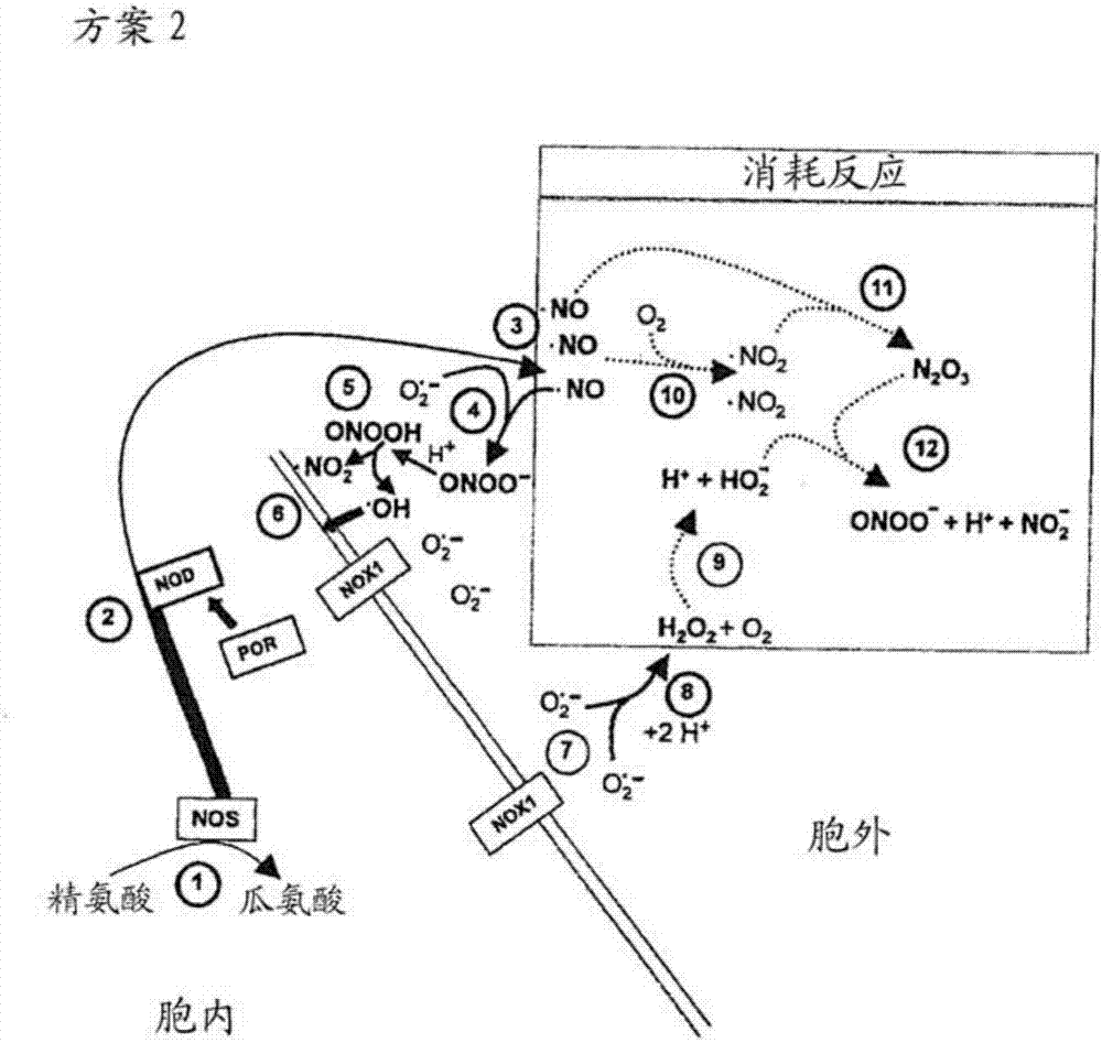 結(jié)合并抑制過氧化氫酶和/或超氧化物歧化酶的抗原結(jié)合構(gòu)建體即單域VHH片段以及用于腫瘤療法的含有它們的藥物組合物的制造方法與工藝