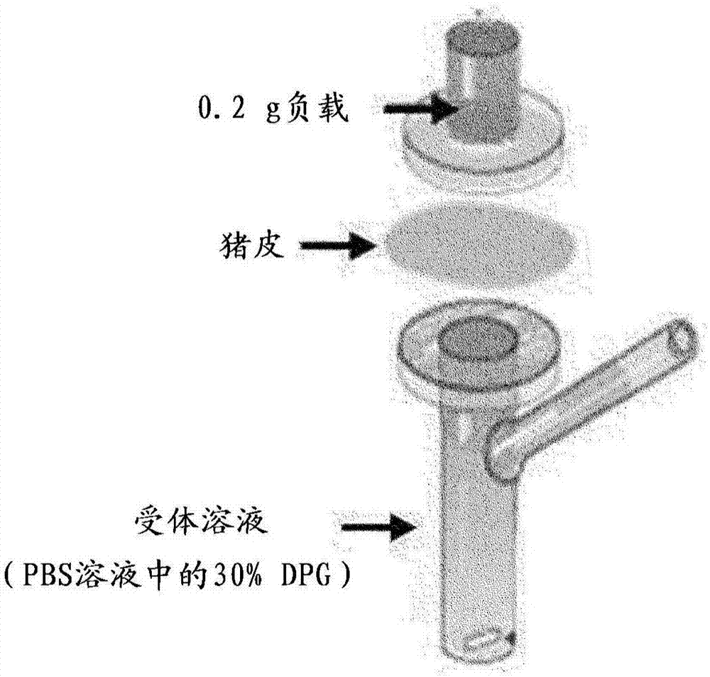 兩親性聚合物的制造方法與工藝