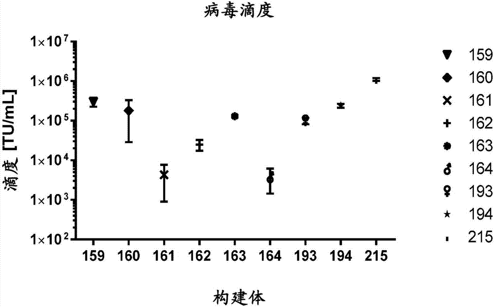 表达α‑1抗胰蛋白酶（AAT）的遗传修饰的间充质干细胞的制造方法与工艺