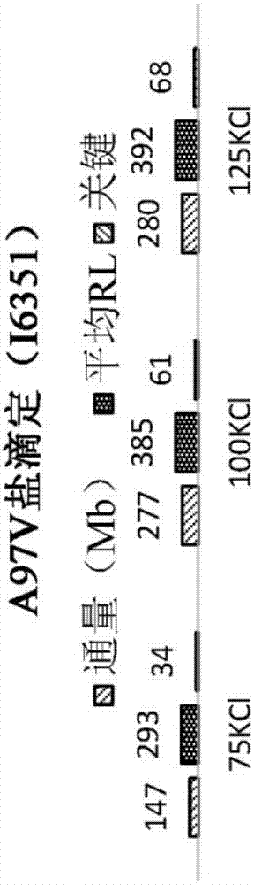 聚合酶组合物和制造与使用其的方法与流程