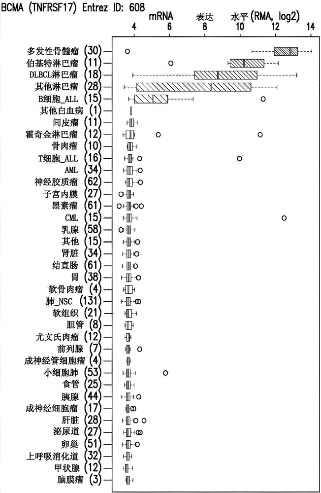 靶向B‑细胞成熟抗原的嵌合抗原受体及其用途的制造方法与工艺