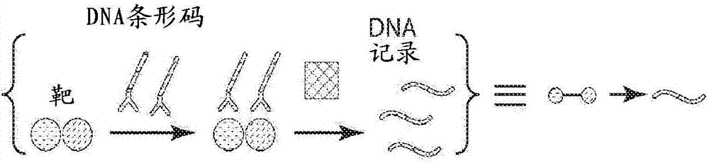 无显微镜成像的制造方法与工艺