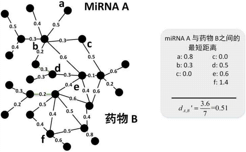 基于miRNA數(shù)據(jù)和組織特異性網(wǎng)絡(luò)的藥物重定位方法與流程