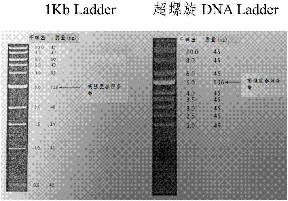 減少人畜共患傳染病的組合物和方法與流程