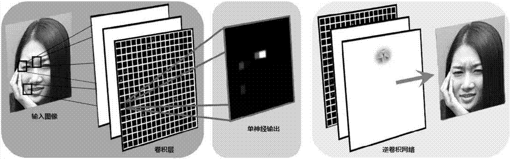 一种基于面部动作编码系统进行微表情检测的方法与流程