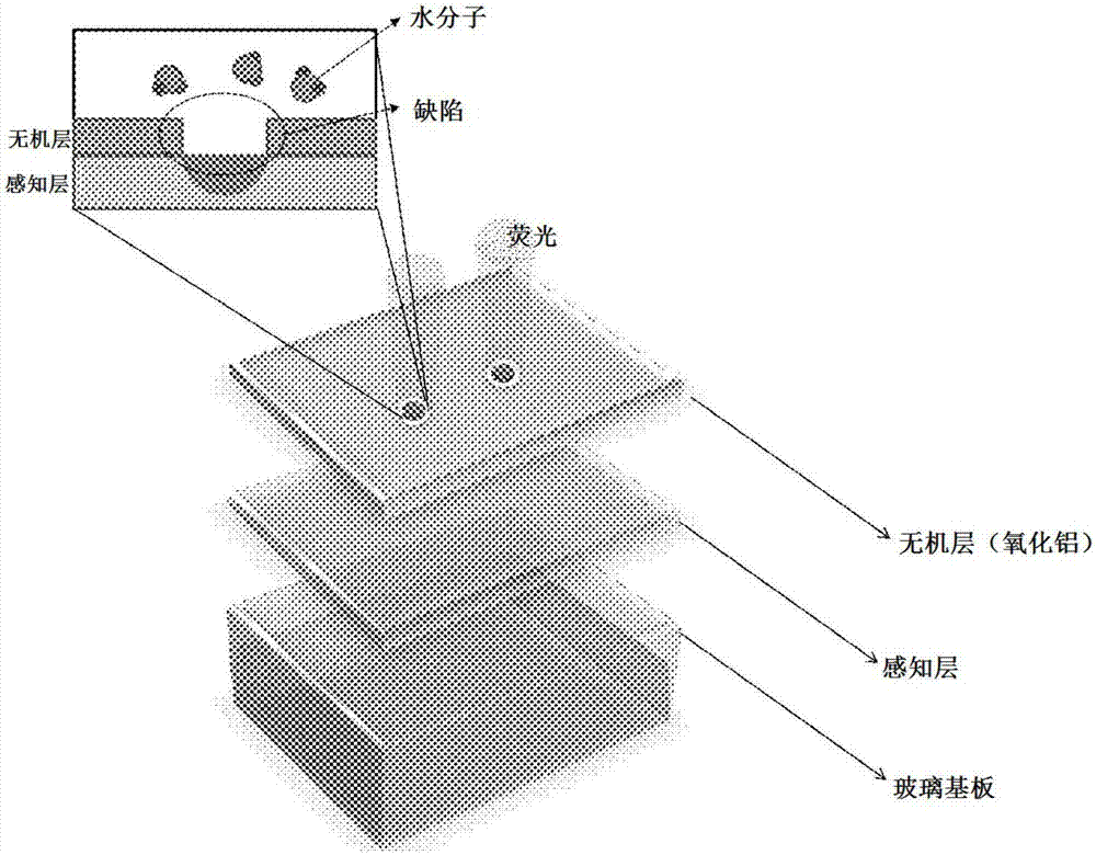 水分检测传感器、缺陷检测传感器及利用其的传感器阵列的制造方法与工艺