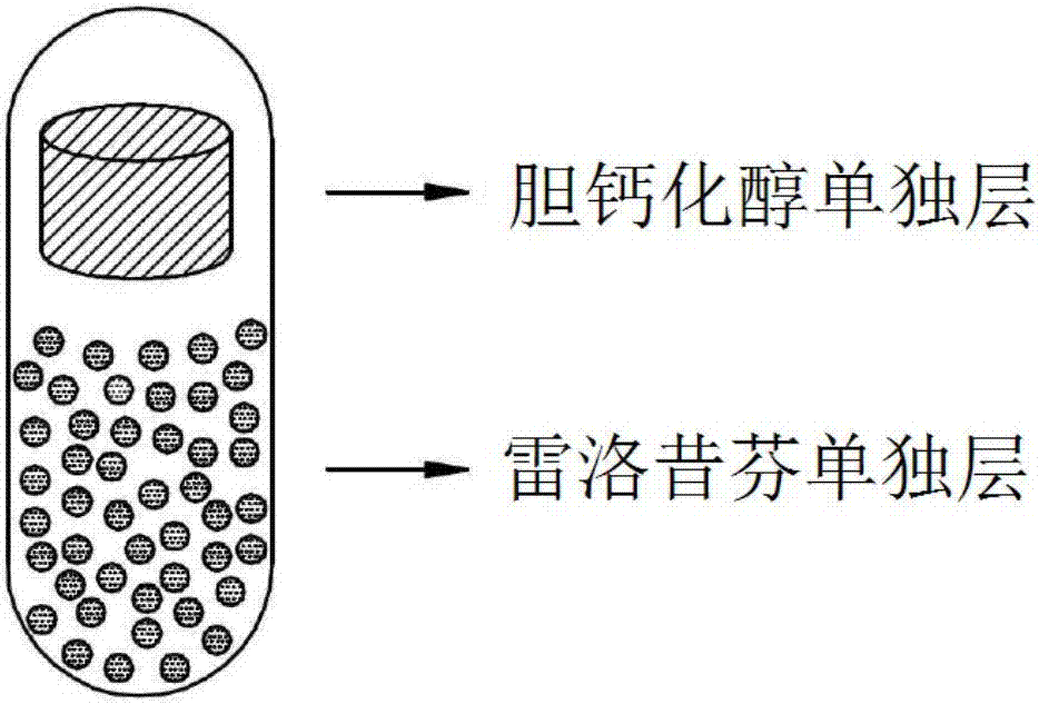 包括雷洛昔芬以及維生素D或其衍生物的復合膠囊的制造方法與工藝