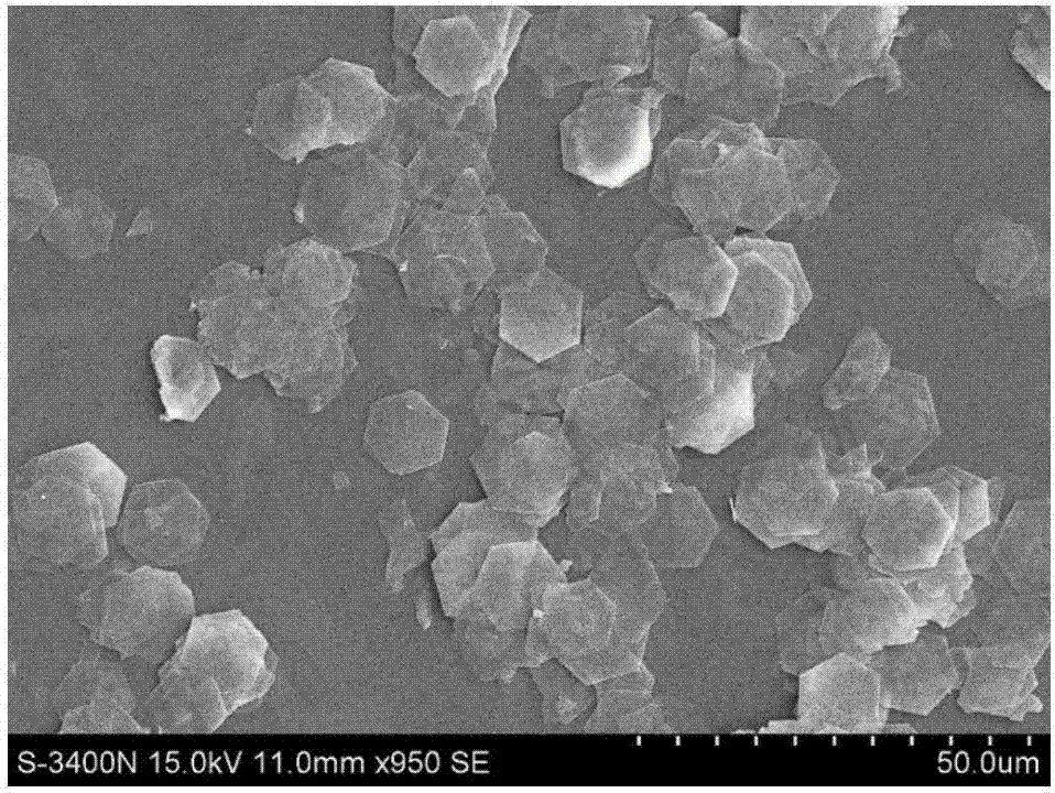 一种超级电容器电极材料氢氧化钴纳米片的制备方法与流程