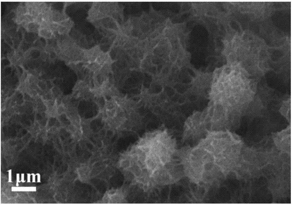 一种花状CoAl双金属氢氧化物电极材料的制备方法与流程