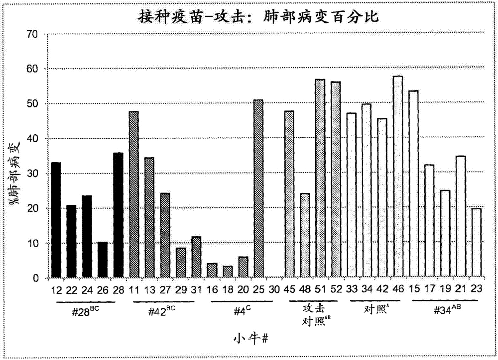 含有減毒睡眠嗜組織菌的免疫組合物的制造方法與工藝
