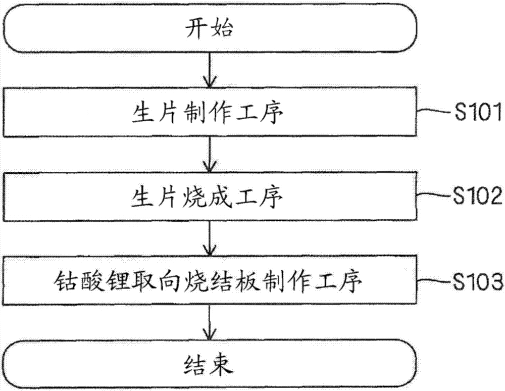 全固體電池用正極板、全固體電池的制造方法與工藝