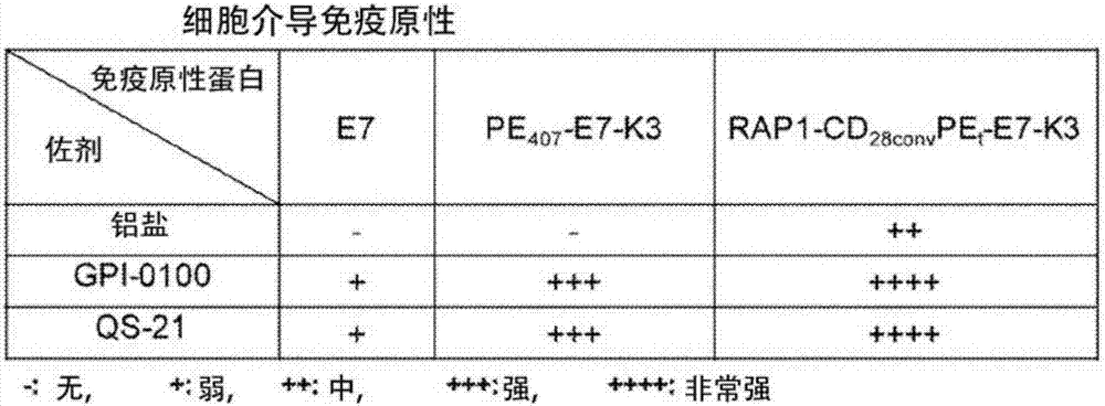 包含免疫原性蛋白质及组合佐剂并用以诱发抗原特异性T细胞反应的疫苗组合物的制造方法与工艺