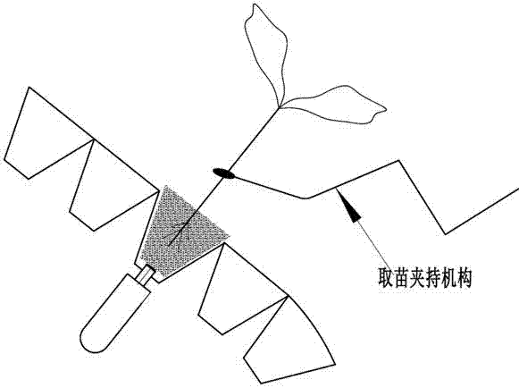 一种自动移栽机的夹苗装置的制造方法