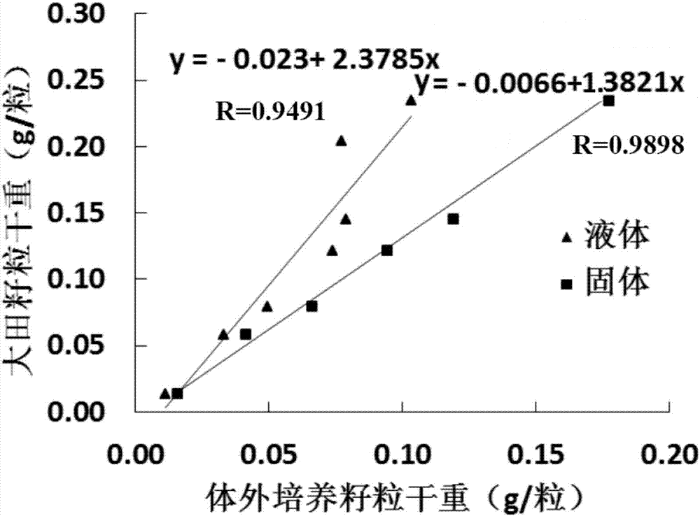 一種玉米籽粒離體培養(yǎng)方法與流程