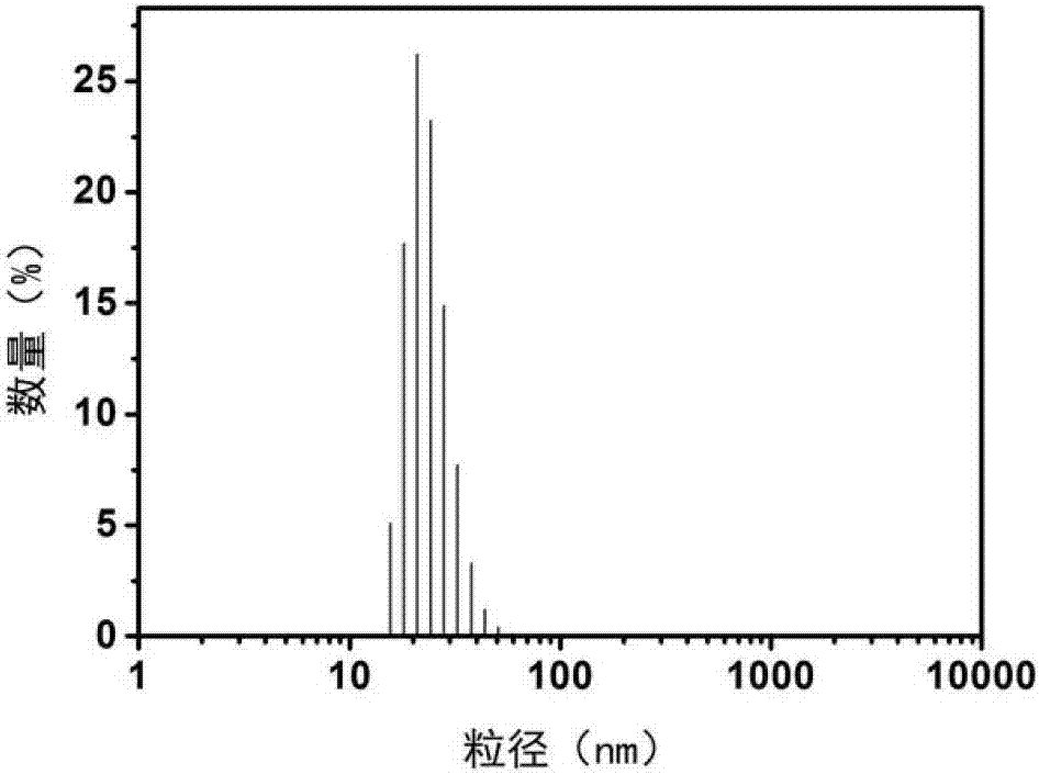 一種負載雙藥的雜合前藥納米組合物及其制備方法與應(yīng)用與流程