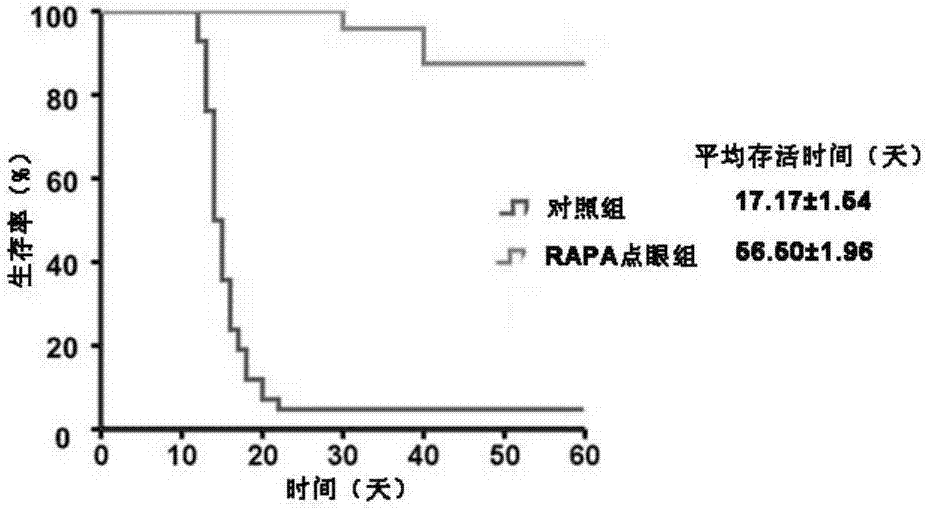 一種雷帕霉素納米膠束滴眼液及其制備方法與流程