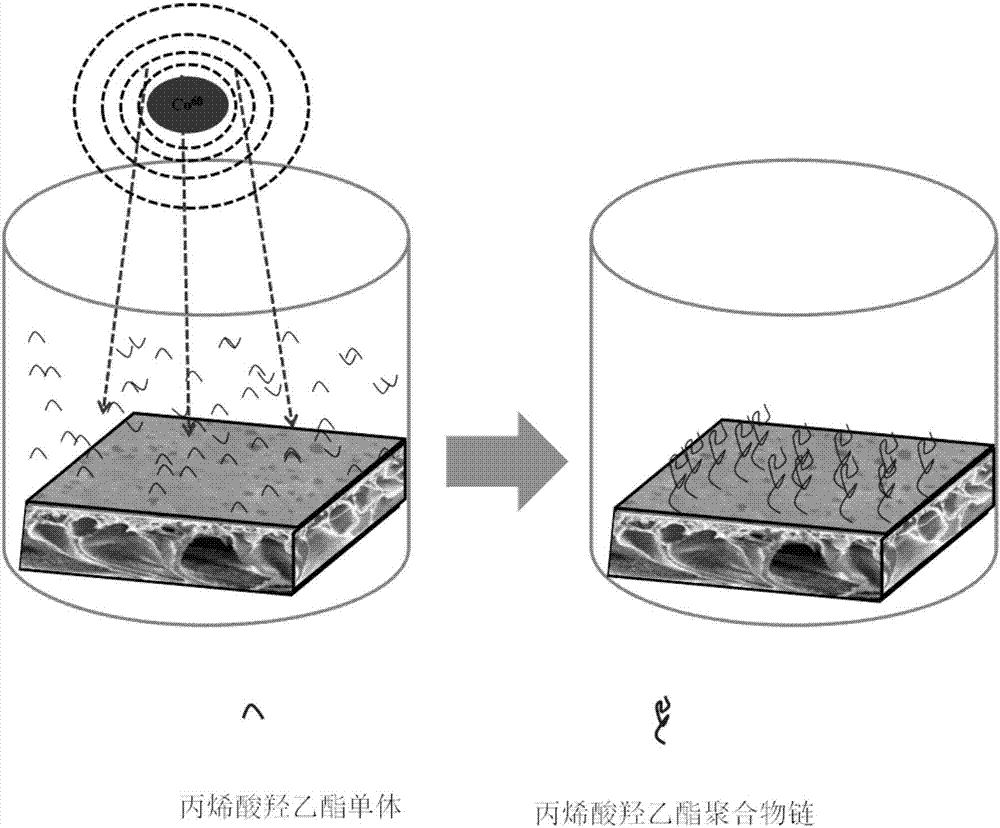 一种在酸性条件下通量具有pH依赖性的分离膜及其制备方法与流程