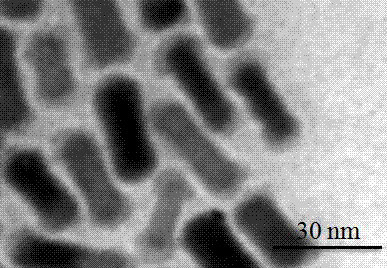 一种帽盖状金核/硫化铜壳结构的纳米棒复合材料及其制备方法与流程