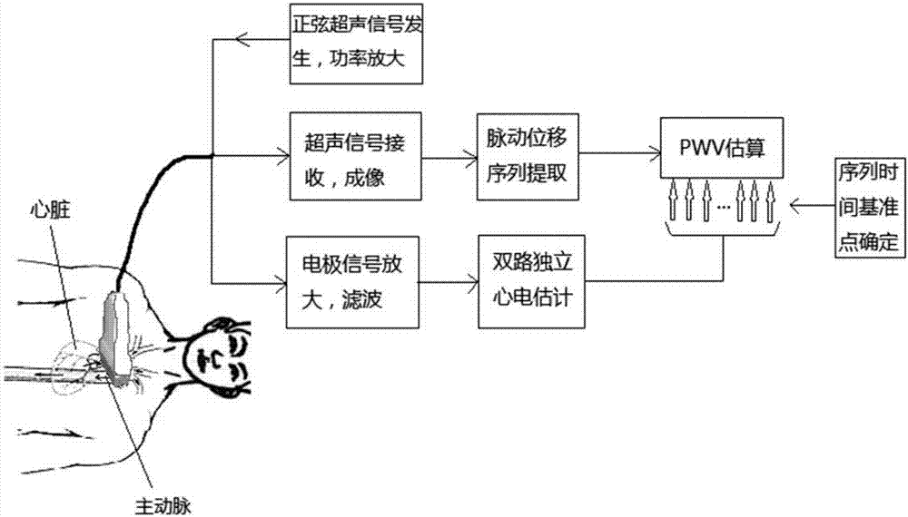 一种体内深层大中动脉局域脉搏波波速检测探头的制造方法与工艺