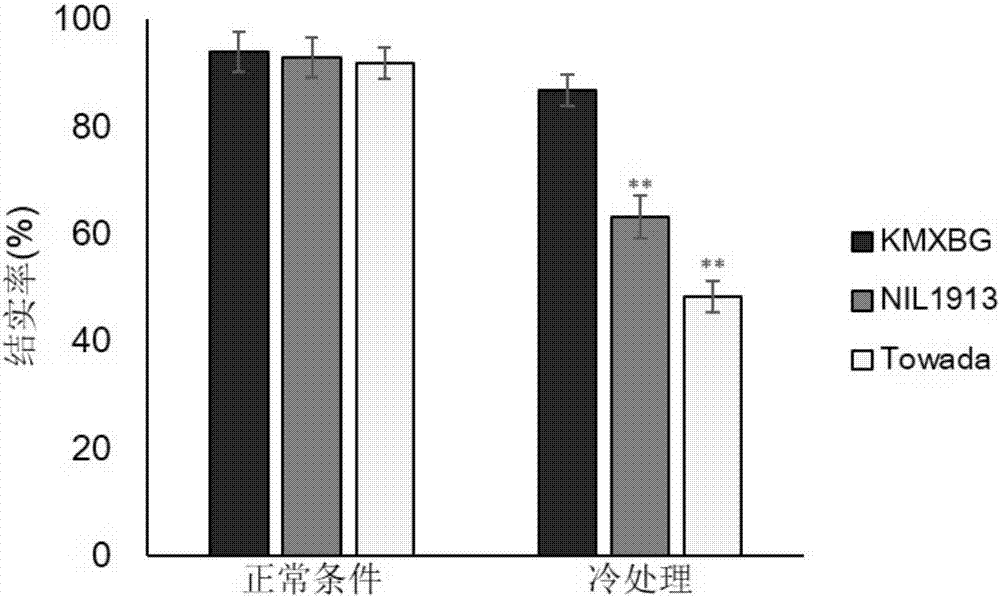 一種水稻孕穗期耐冷性相關(guān)蛋白CTB4a及編碼基因與應(yīng)用的制造方法與工藝