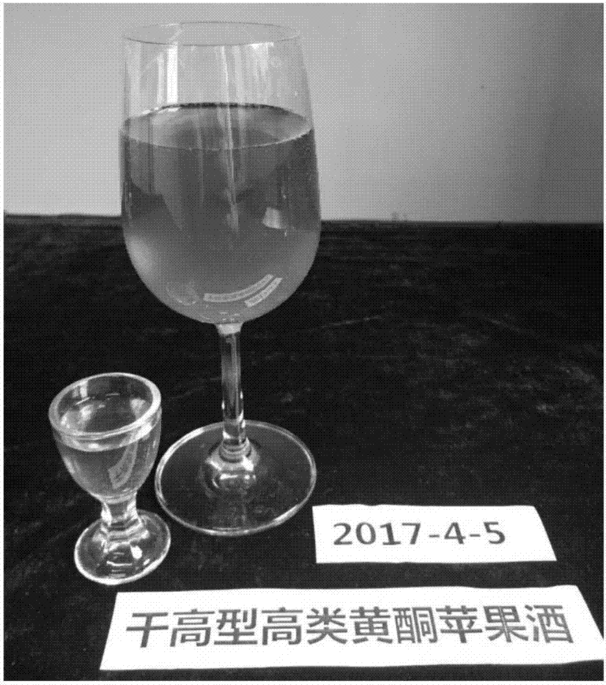 干高型高类黄酮苹果酒及其制备方法与流程