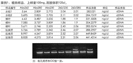 一種組織不研磨直接提取核酸的方法與流程