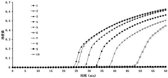 一种检测猪丹毒杆菌的实时定量LAMP引物、试剂盒及方法与流程